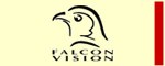 Falcon Vision