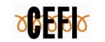 C.E.F.I.